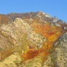 thumbs coeur 008 Des coeurs (37 photos)