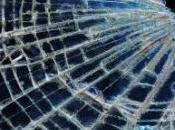 avec effraction bibliothèque revendre livres dans rue...