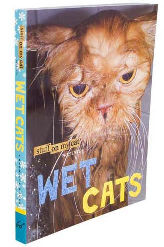 wetcats.jpg