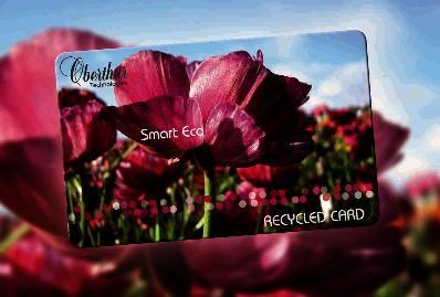 La carte de paiment Smart Eco PVC d'Obertur contient 85% de PVC recyclé.