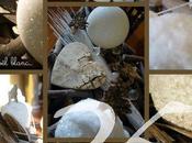 &nbsp; féerie poursuivre jusqu'à moism...