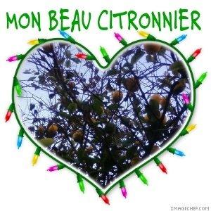 Cake moelleux au citron et aux amandes effilees