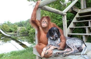 Une histoire d'amitié