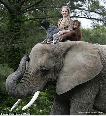 Une histoire d'amitié