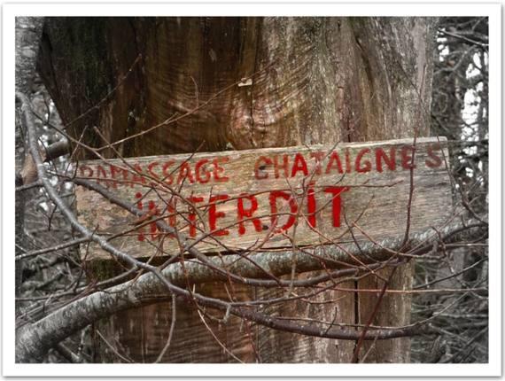 Quelques kilomètres à pied dans la campagne corrézienne