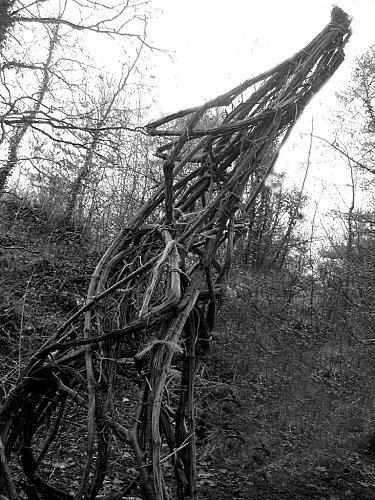 le chien-loup hurlant