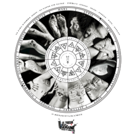 ROSE AU CARRE ROSE AU CARRE