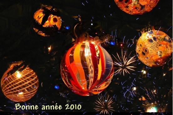 bonne-annee-2010.1262023504.jpg