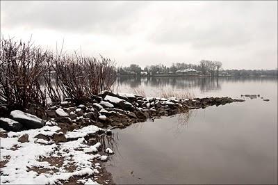 Au bord du lac, un jour de brume.