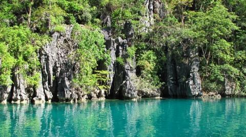Philippines #4 Nature