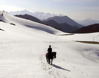 Pas l’ombre de rien en vue (Teika)