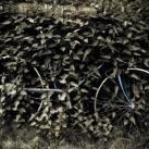 thumbs american photo images of the year 2009 042 American Photo: Images de lannée 2009 (98 photos)