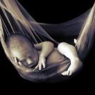 thumbs american photo images of the year 2009 041 American Photo: Images de lannée 2009 (98 photos)