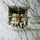 thumbs american photo images of the year 2009 033 American Photo: Images de lannée 2009 (98 photos)