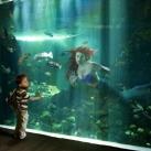 thumbs american photo images of the year 2009 004 American Photo: Images de lannée 2009 (98 photos)