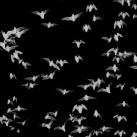 thumbs american photo images of the year 2009 039 American Photo: Images de lannée 2009 (98 photos)