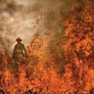 thumbs american photo images of the year 2009 009 American Photo: Images de lannée 2009 (98 photos)