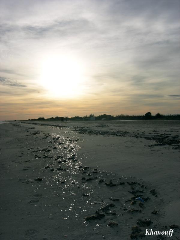 Mardi 29_12_2009_600 (3).JPG