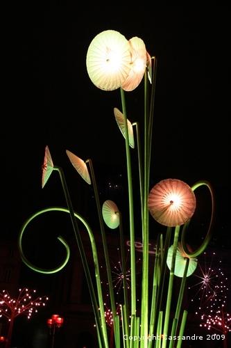 images-photos-lundi-bis 3890