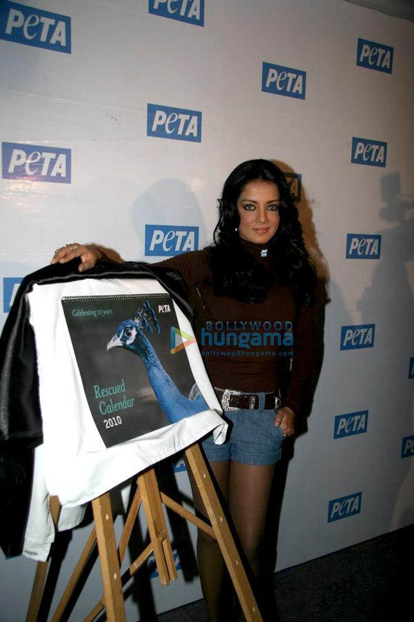 Celina présente le calendrier de PETA 2010