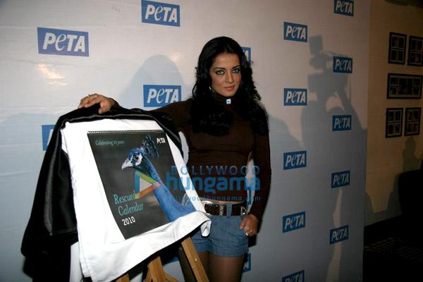 Celina présente le calendrier de PETA 2010