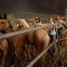 thumbs lannee 2009 en photos 019 Lannée 2009 en photos (157 photos)