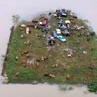 thumbs lannee 2009 en photos 038 Lannée 2009 en photos (157 photos)