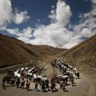 thumbs lannee 2009 en photos 017 Lannée 2009 en photos (157 photos)