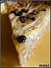 tarte-poire-choco3.jpg