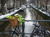 Happy year Meilleurs voeux pour 2010