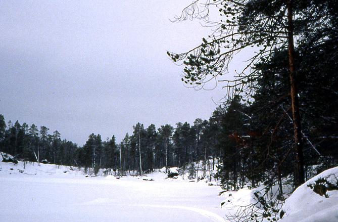 finlande-piste.1261054161.jpg