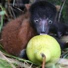 thumbs animaux fun 040 Des Animaux Fun (43 photos)