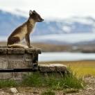 thumbs animaux fun 027 Des Animaux Fun (43 photos)