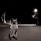 thumbs animaux fun 003 Des Animaux Fun (43 photos)