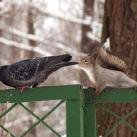 thumbs animaux fun 021 Des Animaux Fun (43 photos)