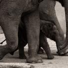 thumbs animaux fun 017 Des Animaux Fun (43 photos)