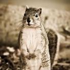 thumbs animaux fun 023 Des Animaux Fun (43 photos)