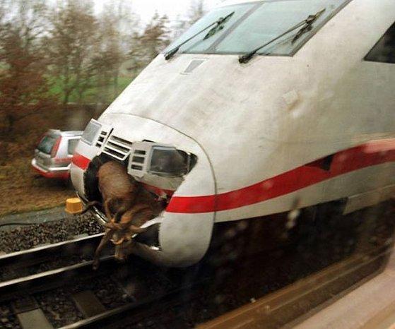 Les images insolites du dernier jour de l'année