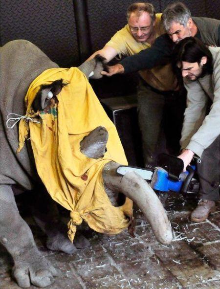 Les images insolites du dernier jour de l'année