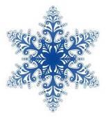 decorative-snowflake-ornament-1.1262098106.jpg