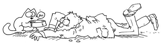 Simon’s cat, une calamité de chat
