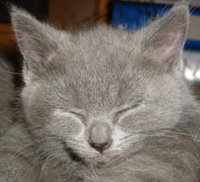 La petite famille du clan d’Iriwal : presque huit semaines…