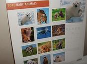 2010, année bébés