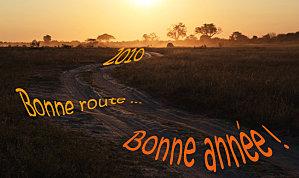 bonne-annee-2010_def.jpg