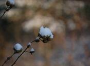 l'apaisement vous voulez bien