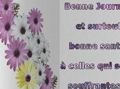 Salade fete nouilles tortillons