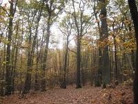 Poême Nordic Walking