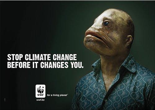 [environnement et écologie] 15 exemples de campagnes d'affichage créatives