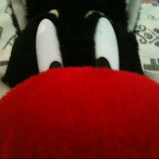 Pet coach: une profession qui a du chien