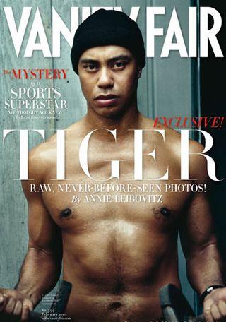 Tigervfcover